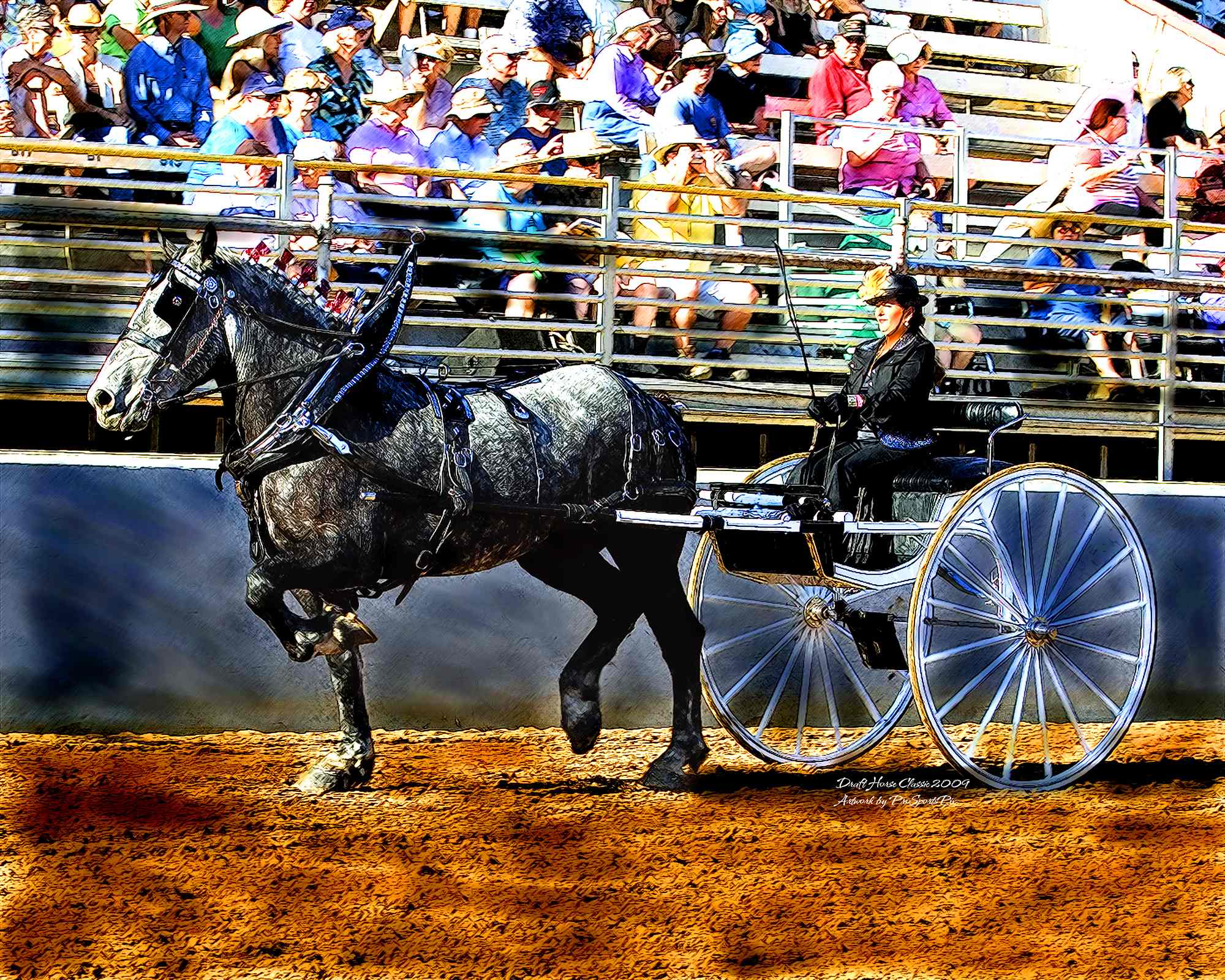 Draft Horse Driving ProSportsPix