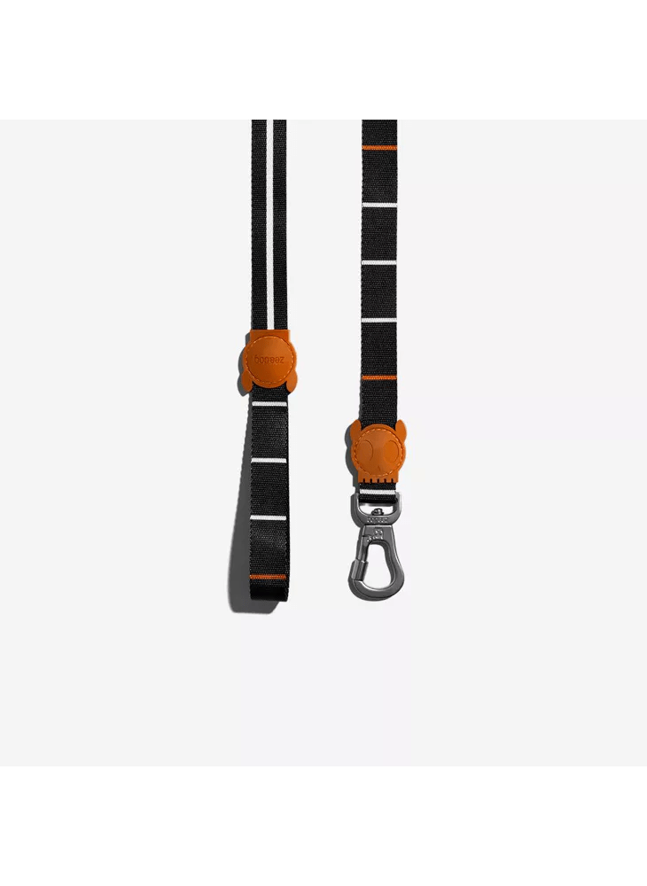 Zee.dog Leash Patagonia