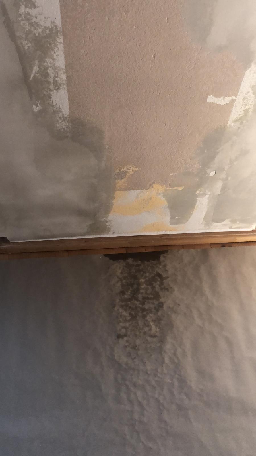 baust2