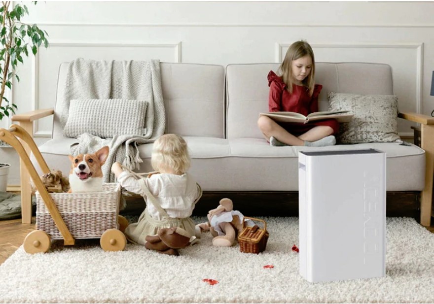 What is A HEPA Air Purifier and How Does It Work?