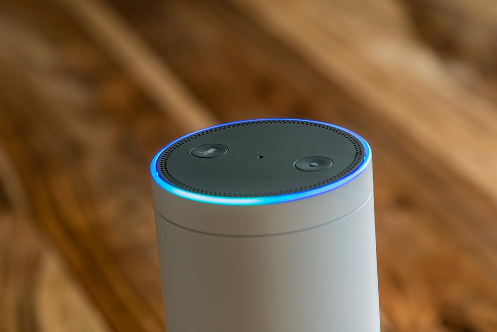 Incorporating ZWave With Amazon Echo ProTech Security Home and