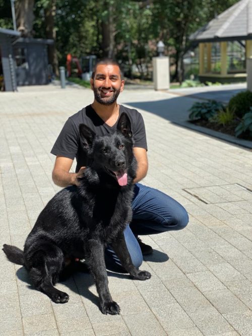 AFINA Protection Dogs Worldwide USA Protection Dogs Worldwide USA