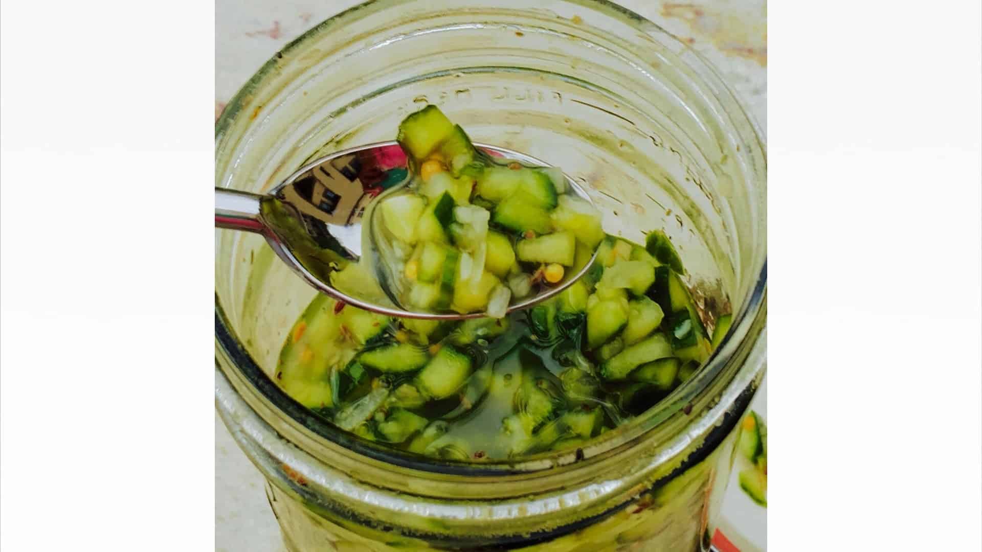 Pickle Relish Premium PD Recipe Protective Diet