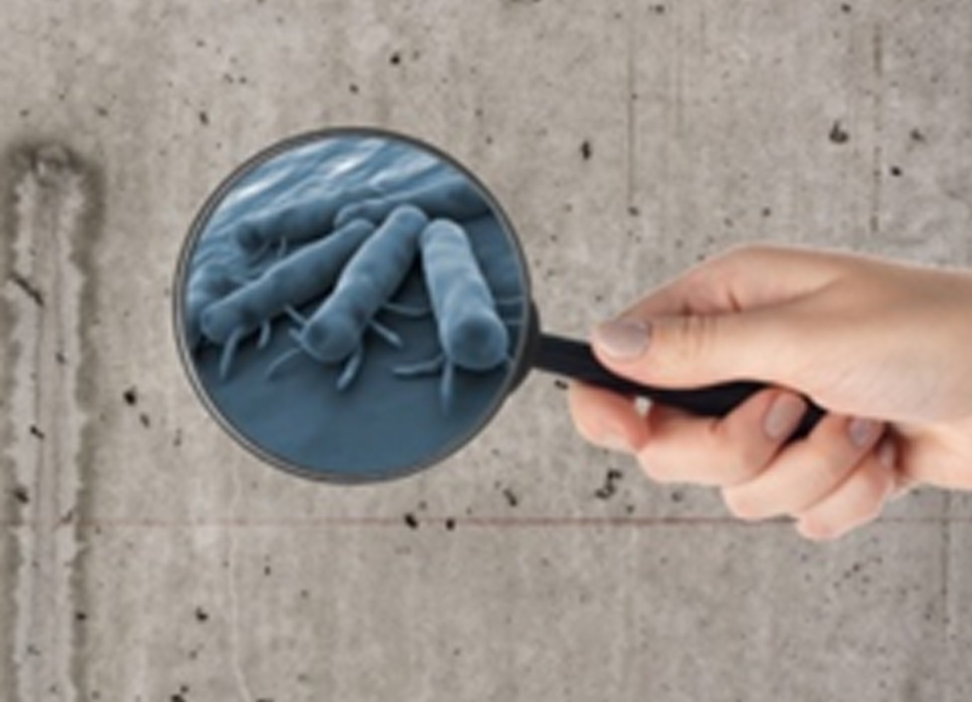 Antimicrobial Certified FlooringProtective Industrial Polymers