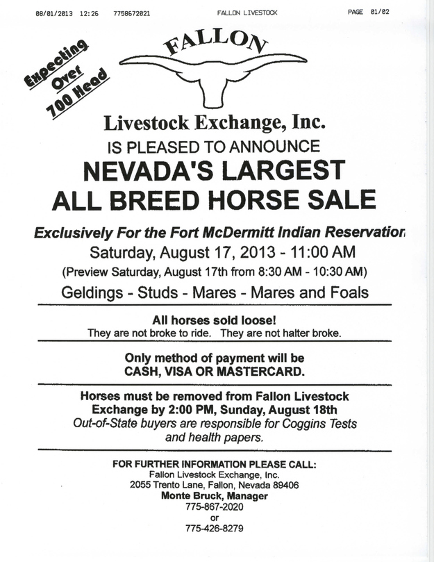 Info about Native American horses selling at NV livestock auction Sat