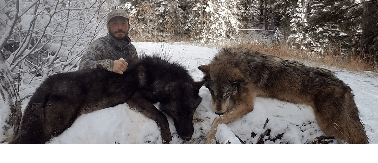 F4WMFoundation For Wildlife Management Appears to be Offering Bounty