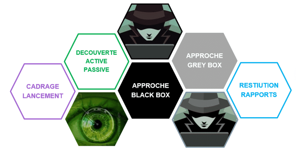 Pentest applicatif Protein Expert en protection des entreprises et IE