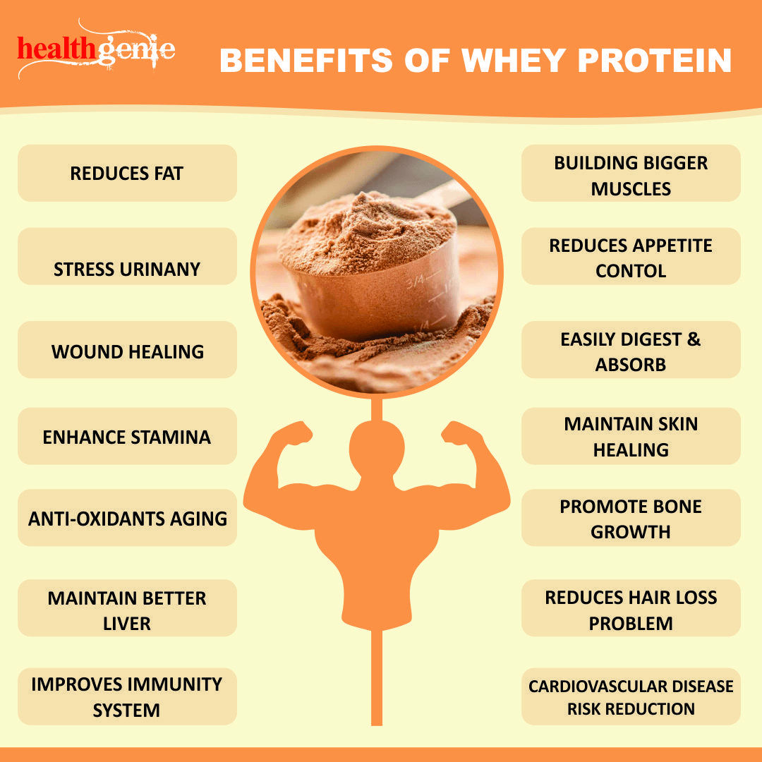 Let's Talk About Whey Protein Bars Protein Bars