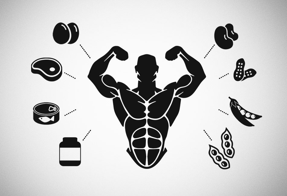 EPIC Protein Bars for All Your Bodybuilding Needs Protein Bars