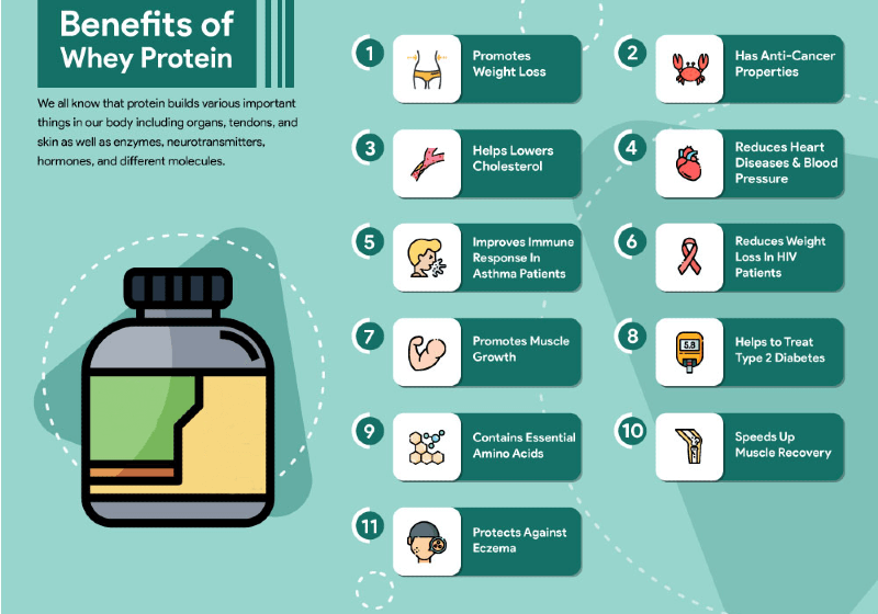 Whey Protein for Teen Athletes Protein Bars