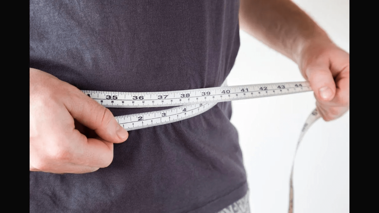 Should Weight Loss Beginners Eat Protein Bars? Protein Bars