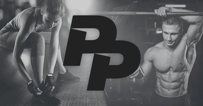 Sascha fitness net worth 2020