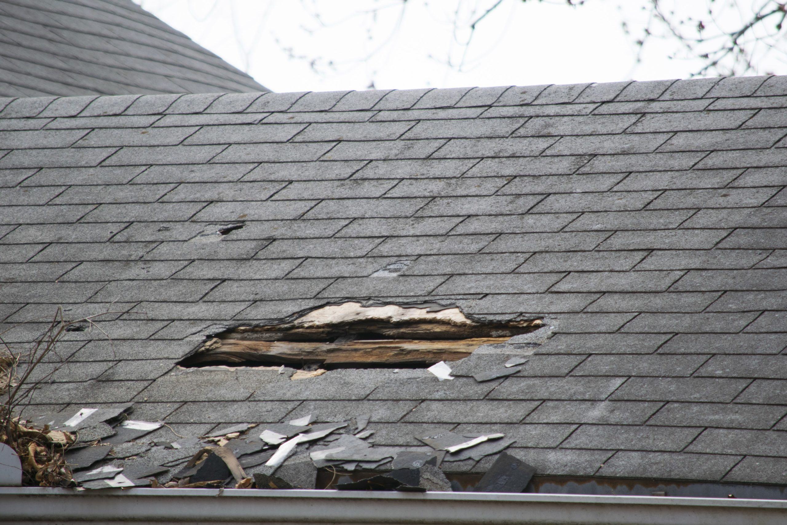 Does Homeowners Insurance Cover Roof Replacement? ProTek