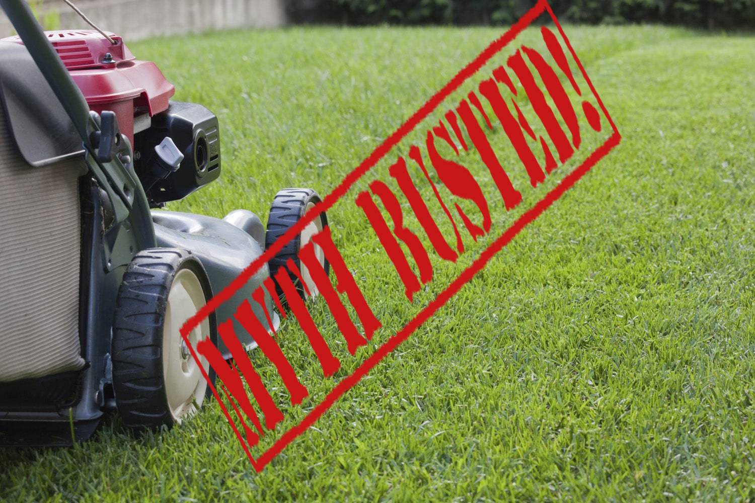 3 Lawn Vacuum Myths Busted