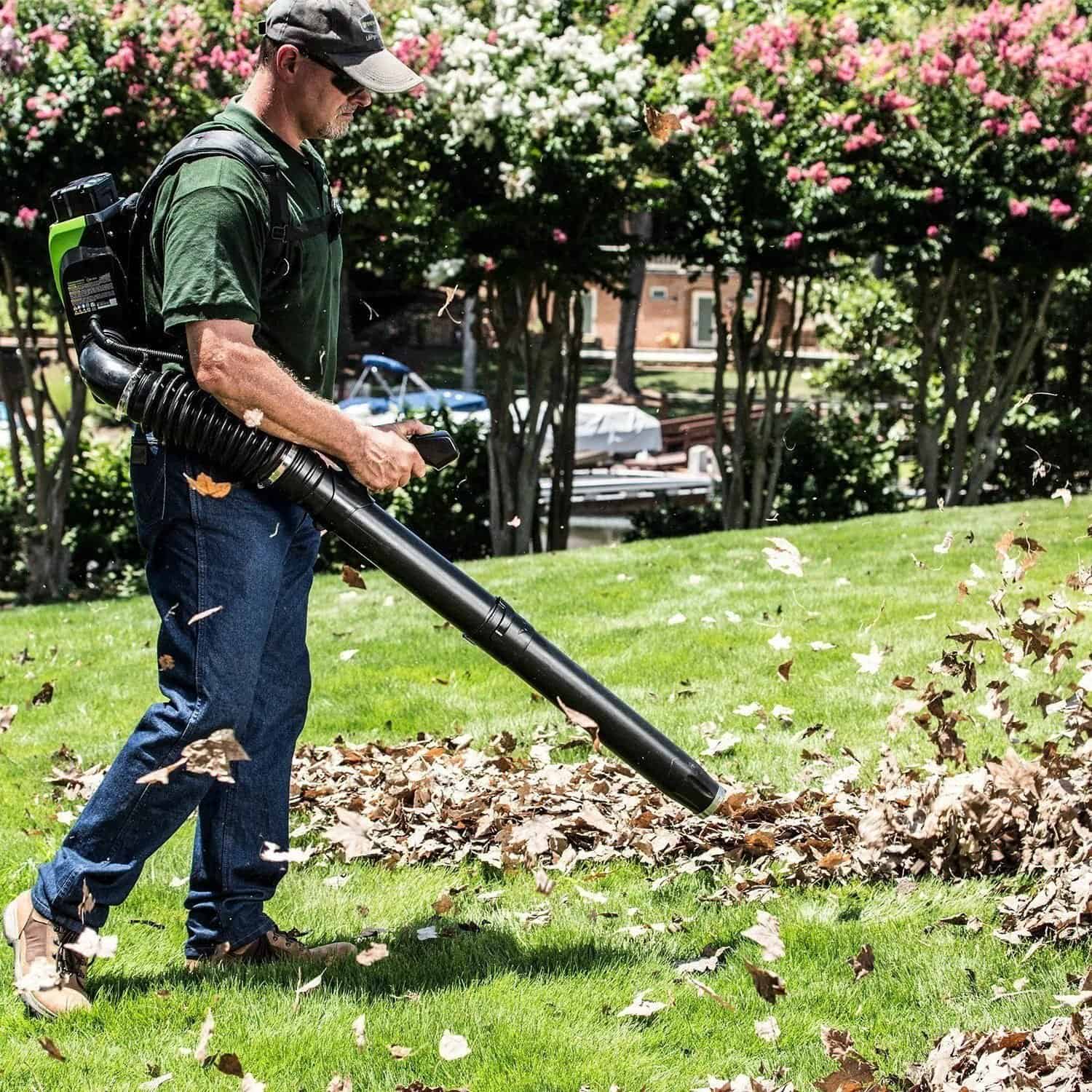 How to Choose the Perfect Leaf Blower for Your Yard ‣ Pro Tools Guide