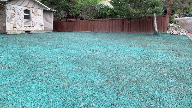Hydroseeding Pro Tilling & Hydroseeding