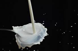 اللبن الفاسد