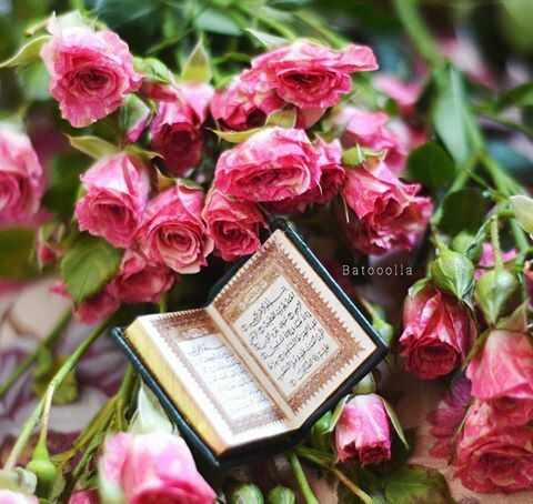 رؤية المصحف على الأرض