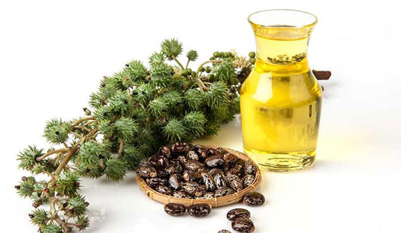 زيت الخروع للشعر