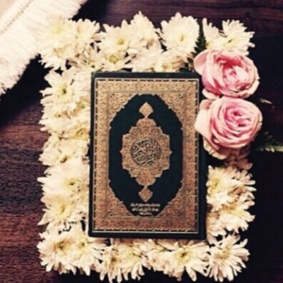 تجربتي مع سورة