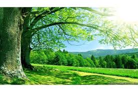 عدم دخول الجنة