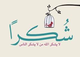 للمعلمات المتميرات