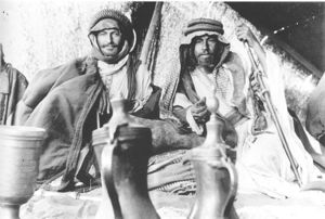 عشائر قبيلة الحويطات