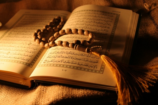 تحفيظ القران بتبوك