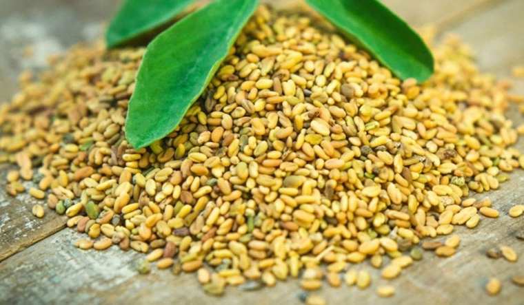 متى يبان مفعول الحلبة للاطفال