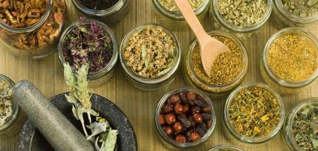 خلطة لزيادة الوزن وتكبير الخلفيه وعن تجربه