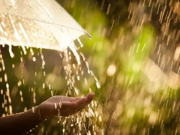 تفسير حلم ماء المطر في حوش البيت في المنام
