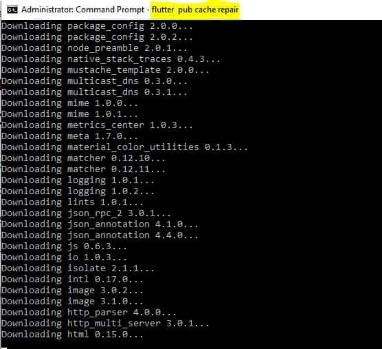 How to Repair/clear cache of all Dependencies in .pubcache Flutter