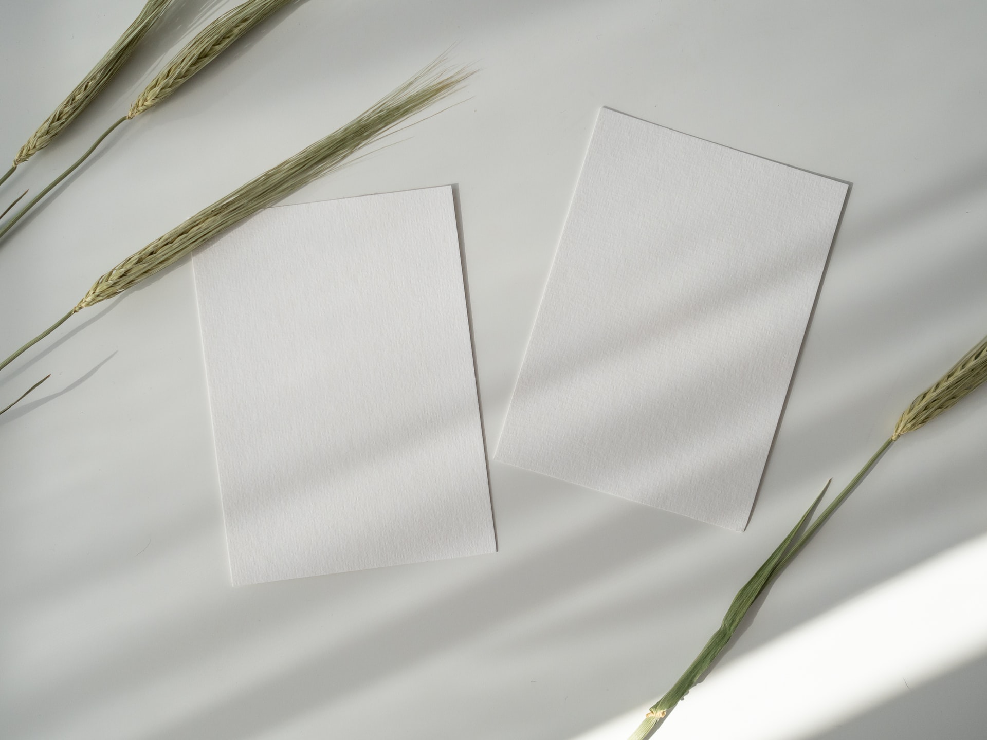 How do you use vellum sheets? Protocol Online