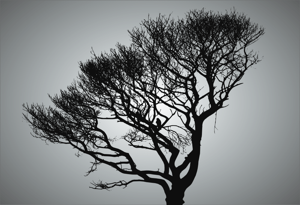 Free High Resolution Images For Printing All the images on these