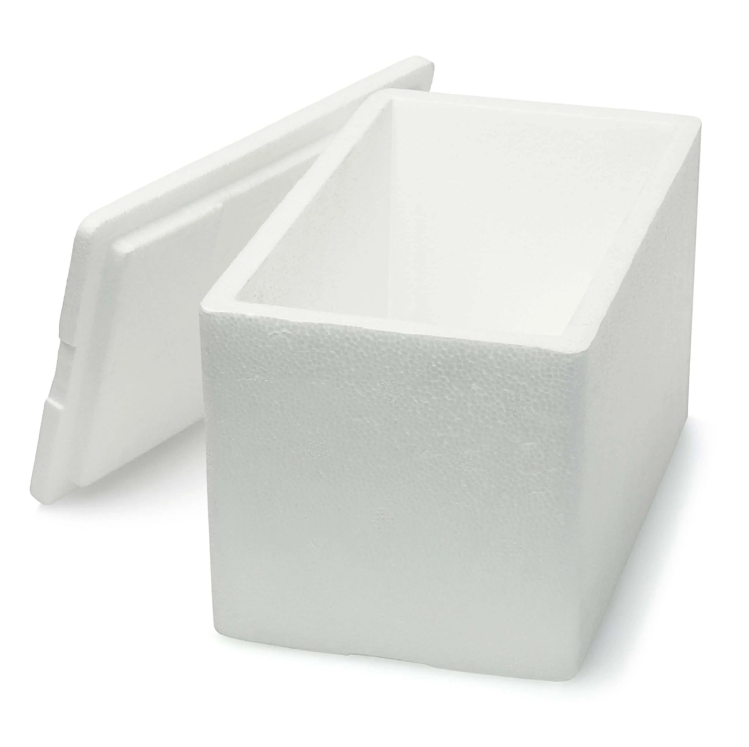 Polystyrene Cooler Boxes Proton Packaging