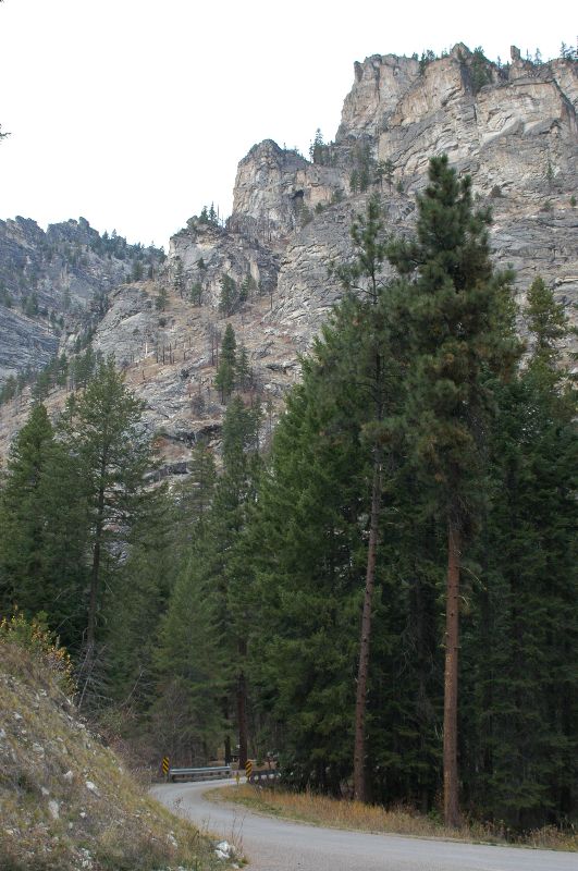 Blodgett Creek Campground