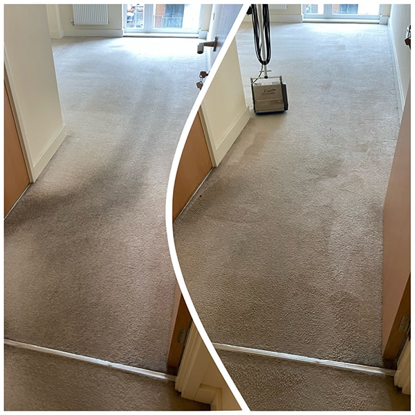 Carpet Cleaning Aylesbury Top Rated cleaning company