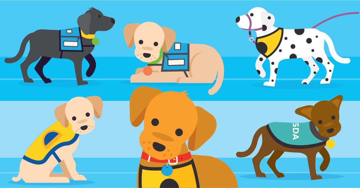 Puppy on a Mission Dog Trainer in San Diego The Dog Man Can.