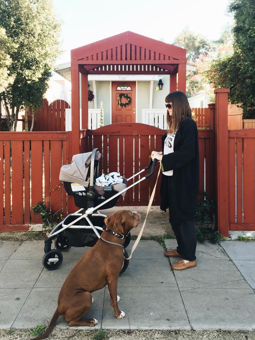 12 Amazing Reasons Why Dogs Are Good to Help Raise Children Dog