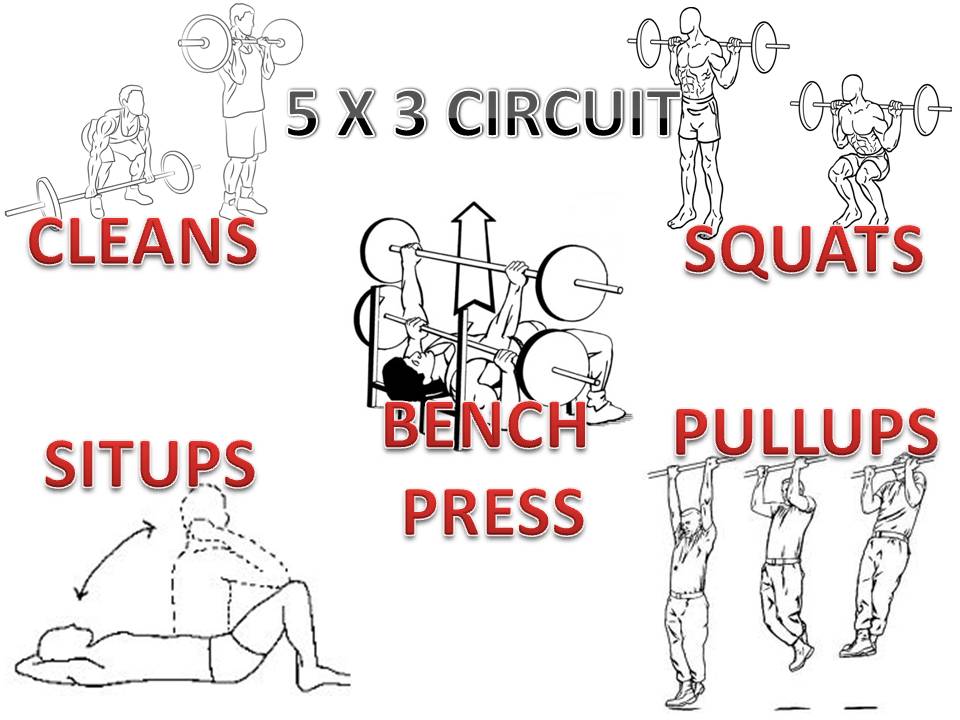 Fat Loss Weight Training Plan coppertoday