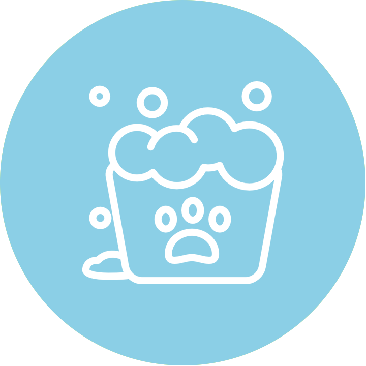 Proud Hounds Doggie Daycare Cape Town