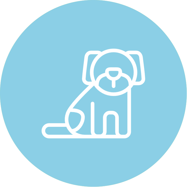 Proud Hounds Doggie Daycare Cape Town