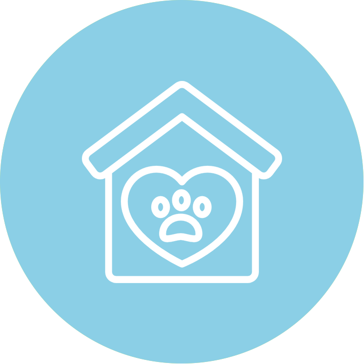 Proud Hounds Doggie Daycare Cape Town