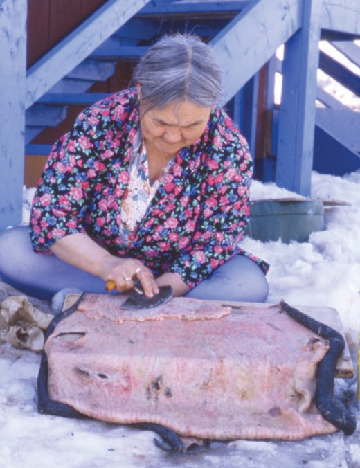 Traditional Inuit Preparation of Seal Skins Proudly Indigenous Crafts