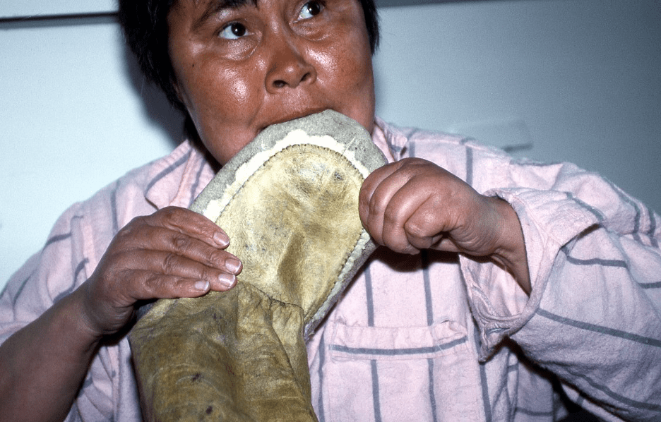 Traditional Inuit Preparation of Seal Skins PIC&D