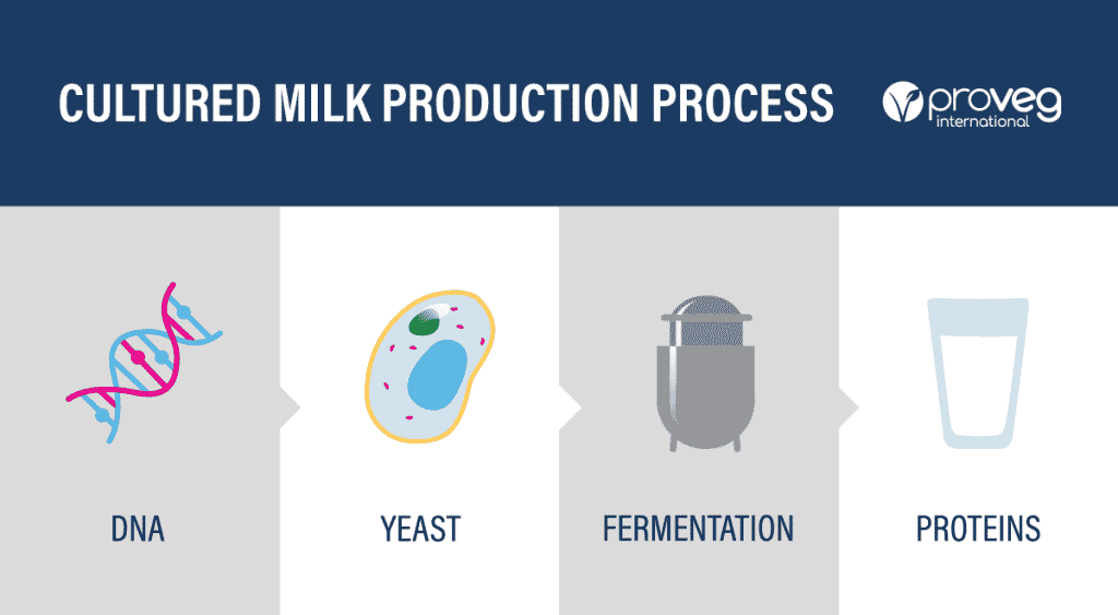 The Plant Milk Report ProVeg International
