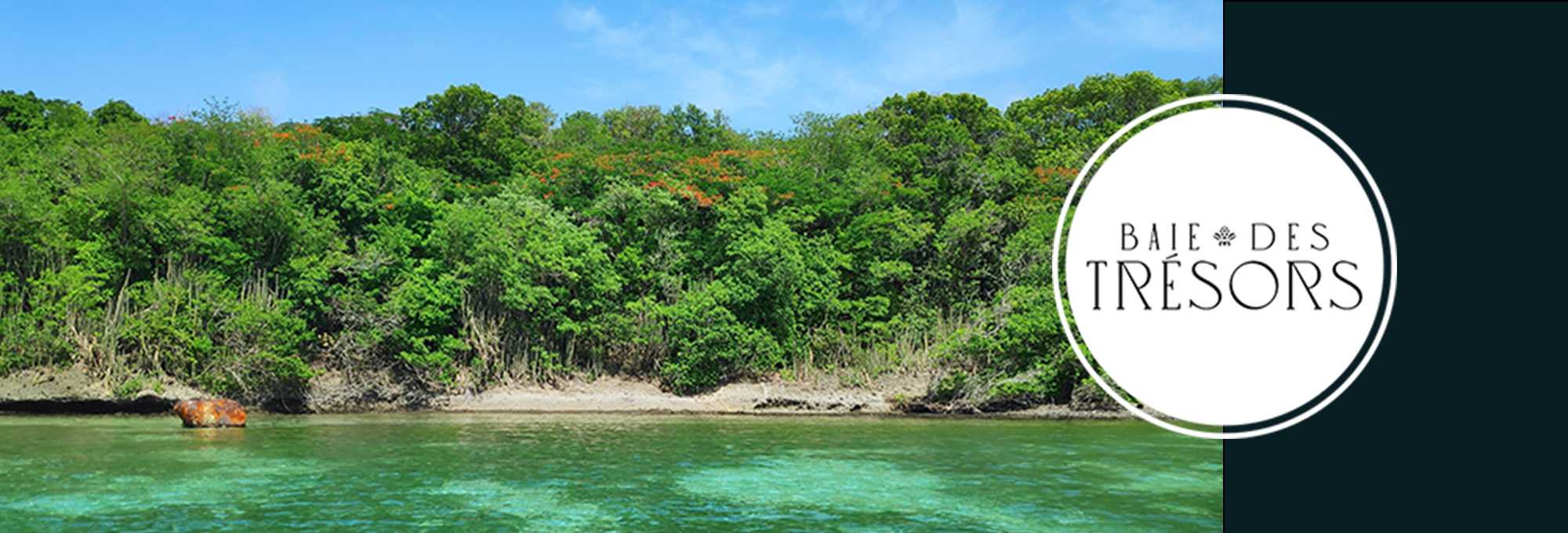 Distillerie Baie des Trésors Martinique