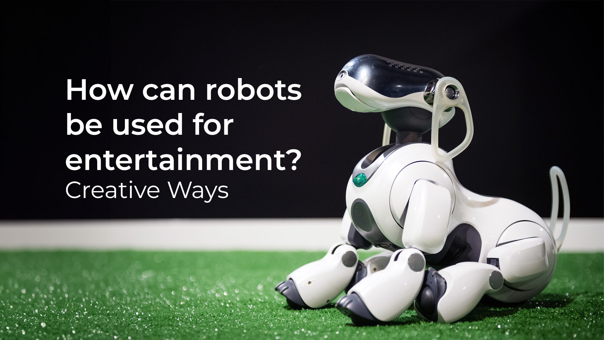 How can Robots be Used for Entertainment? 10 Creative Ways PROVEN