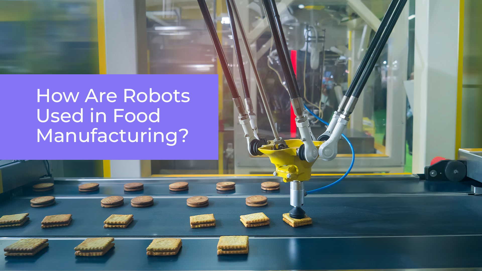 How Are Robots Used in Food Manufacturing?