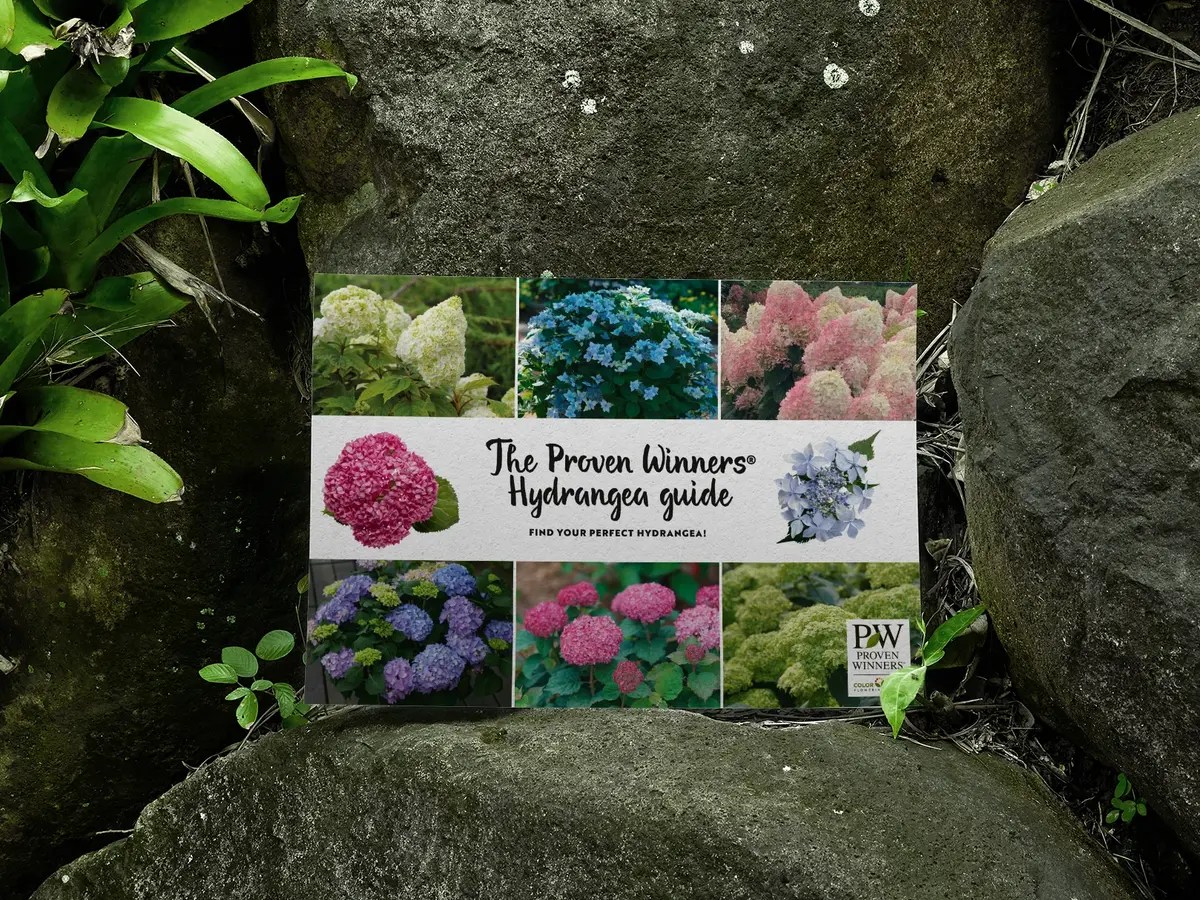 Proven Winners® EU Best Plants for Your Garden Beds & Balconies